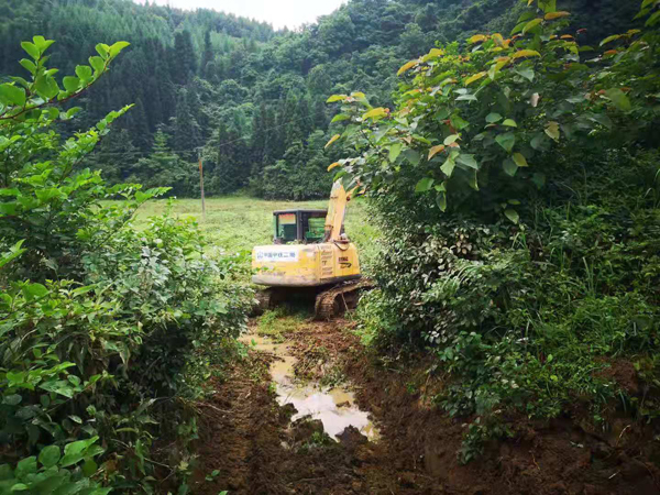 抗洪抢险照片  (1).jpg