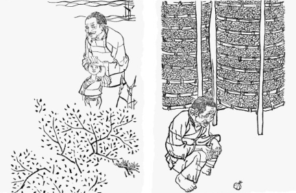 1703546223804366.png 1.png