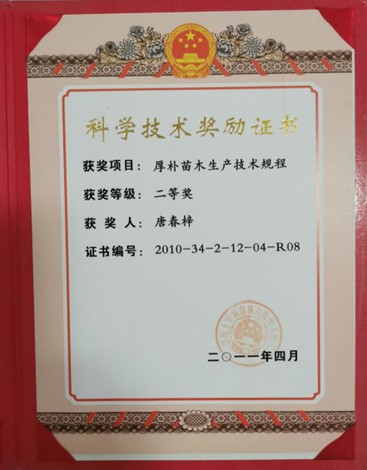 1756734857387183.jpg 4.jpg