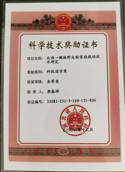 1756734879894479.jpg 6.jpg