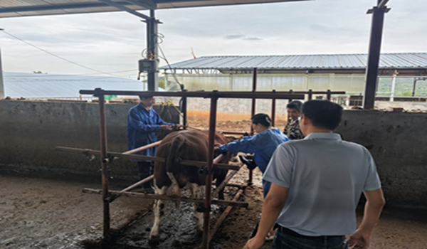 1759053150545246.jpg 2.jpg