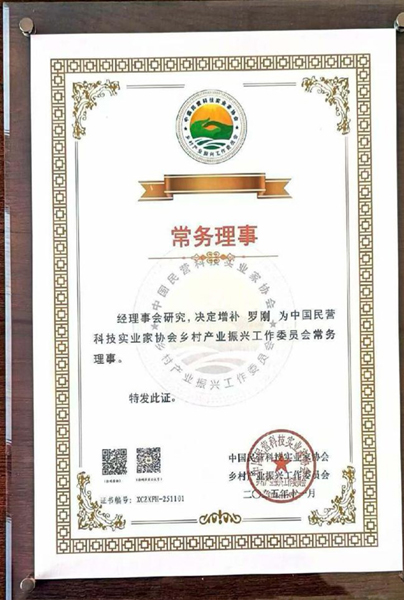 1764640975145208.jpg 4.jpg