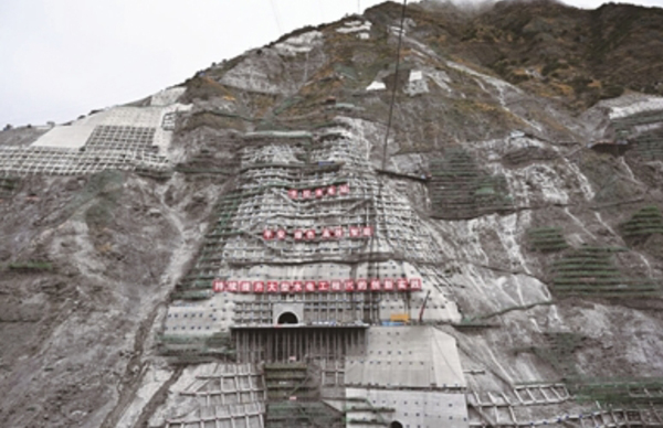 1765851808681250.jpg 8.jpg