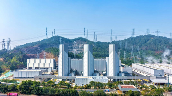 1770199012552258.jpg 1.jpg