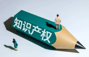宁夏首次开展知识产权检察专项质量评查